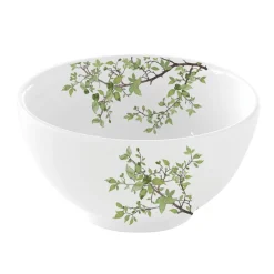 Nature|Services De Table En Porcelaine>Easy Life Des bols en porcelaine avec un diamètre de 12 cm NATURA